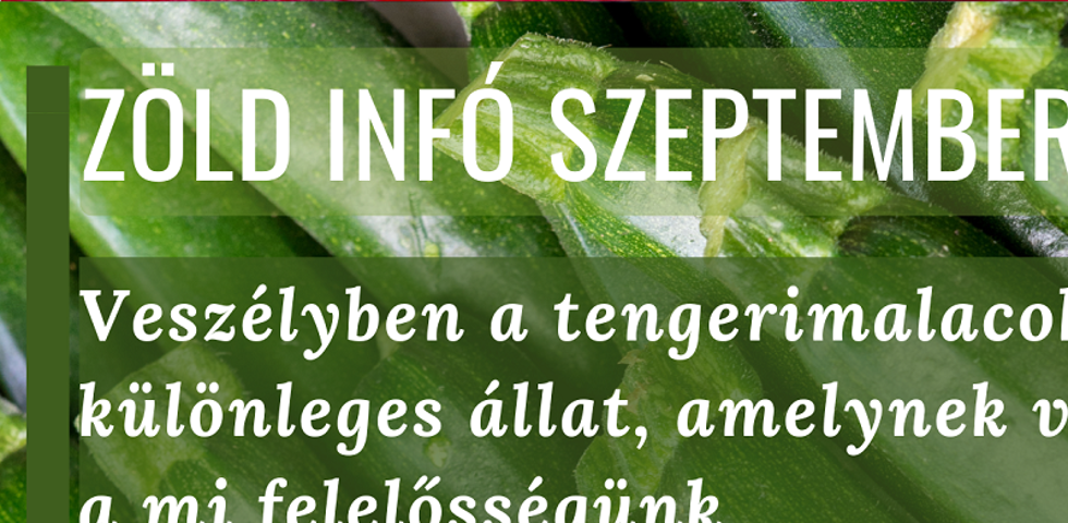 Zld Knyvtri Hrek - 2024. szeptember