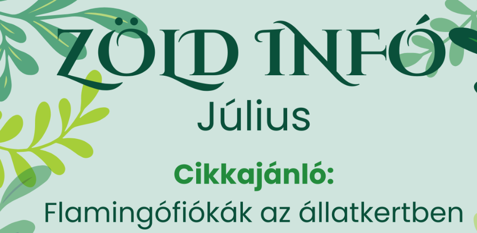 Zld Knyvtri Hrek - 2025. jlius