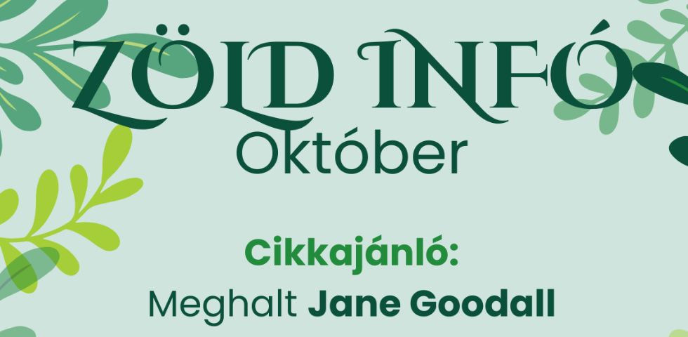 Zld Knyvtri hrek - 2025. oktber