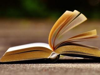 K�nyvbar�t k�r - irodalmi olvas�csoport  - 2013