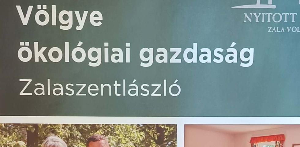 Gy�gyn�v�nyek v�lgye_program k�pekben
