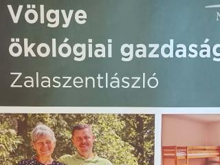 Gy�gyn�v�nyek v�lgye_program k�pekben